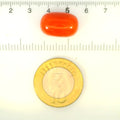 ITLGR_121330_SCALE.webp