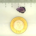 ITLGR_109460_SCALE.webp