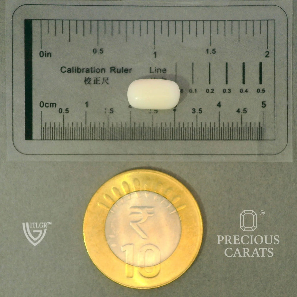 ITLGR_102032_SCALE.webp