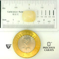 ITLGR_109981_SCALE.webp