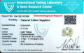 ITLGR_100389_CERTIFICATE.webp
