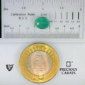 ITLGR_102211_SCALE.webp