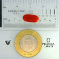 ITLGR_104520_SCALE.webp