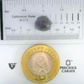 ITLGR_101650_SCALE.webp