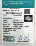 ITLGR_101938_CERTIFICATE.webp