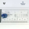 ITLGR_98955_SCALE.webp