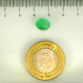 ITLGR_106843_SCALE.webp