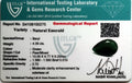 ITLGR_100275_CERTIFICATE.webp