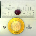 ITLGR_100276_SCALE.webp