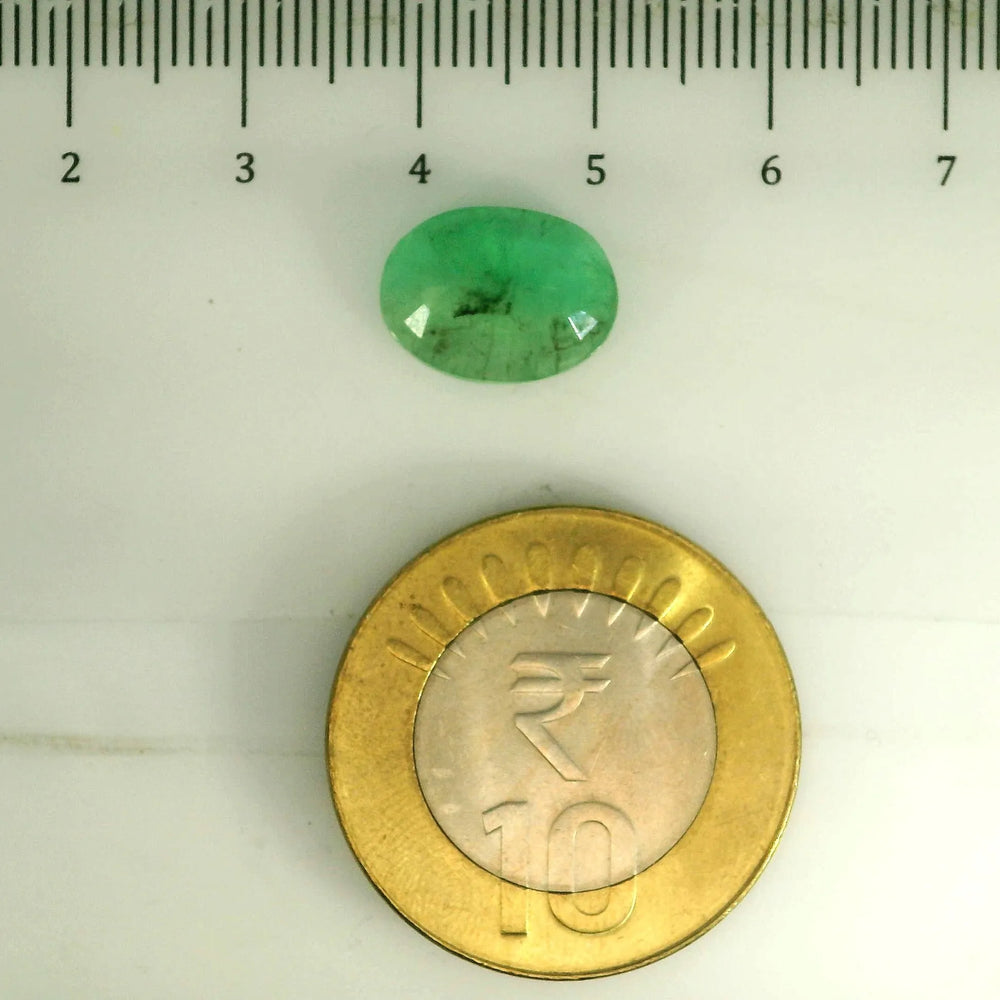 AGR_88380_SCALE.webp