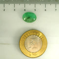 AGR_88380_SCALE.webp