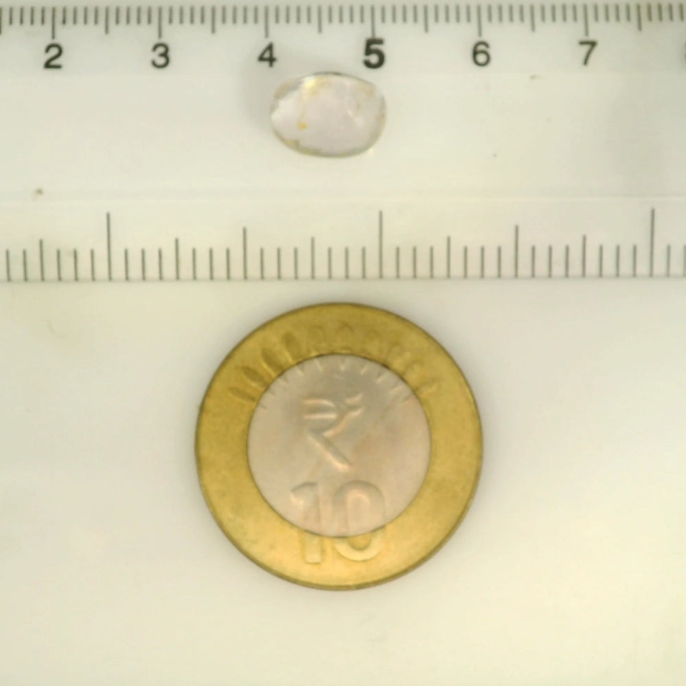 ITLGR_121681_SCALE.webp