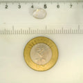 ITLGR_121681_SCALE.webp