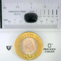 ITLGR_101683_SCALE.webp