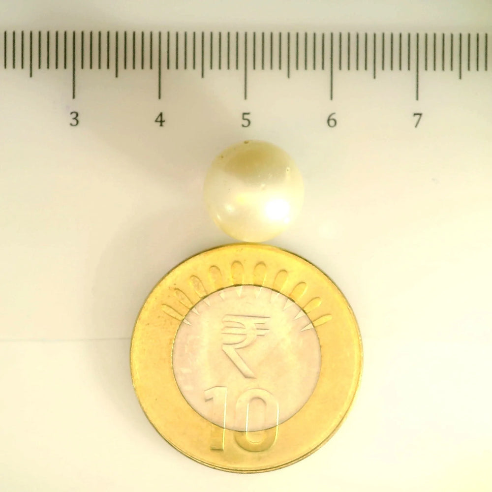ITLGR_106910_SCALE.webp