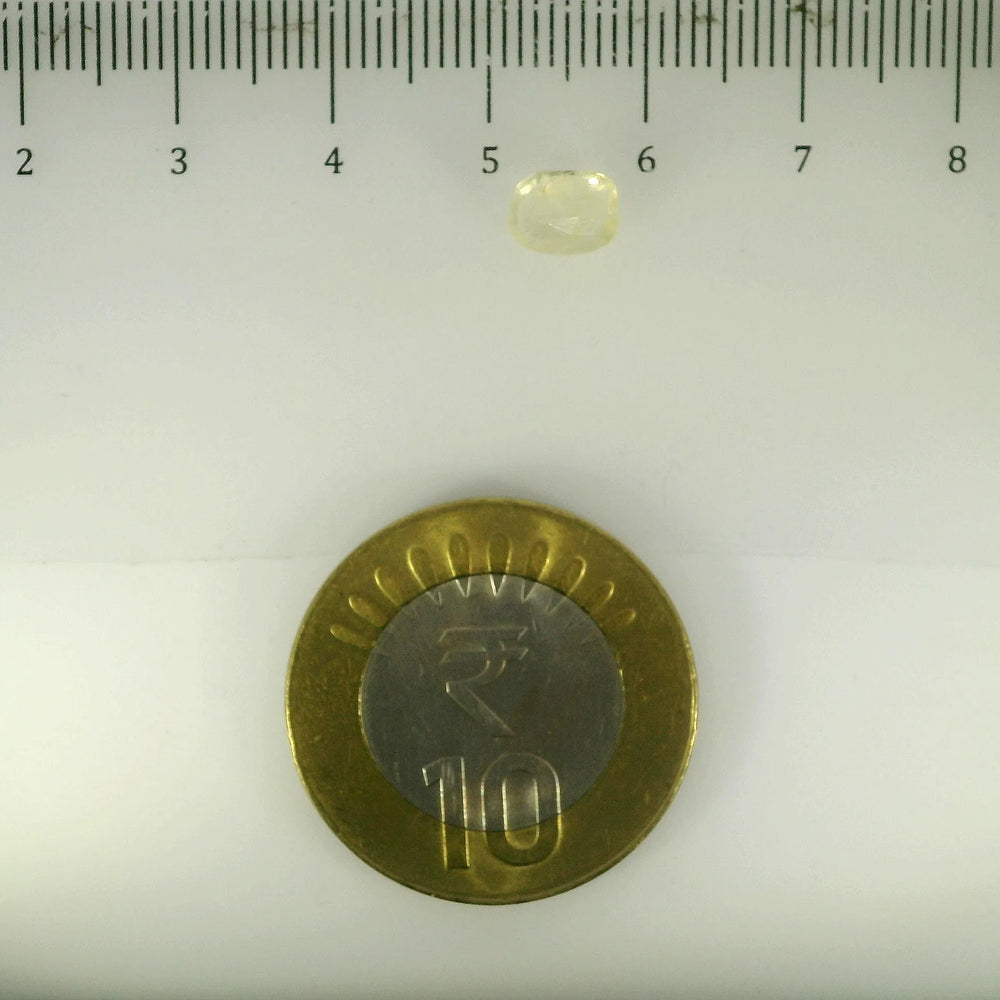 ITLGR_105005_SCALE.webp