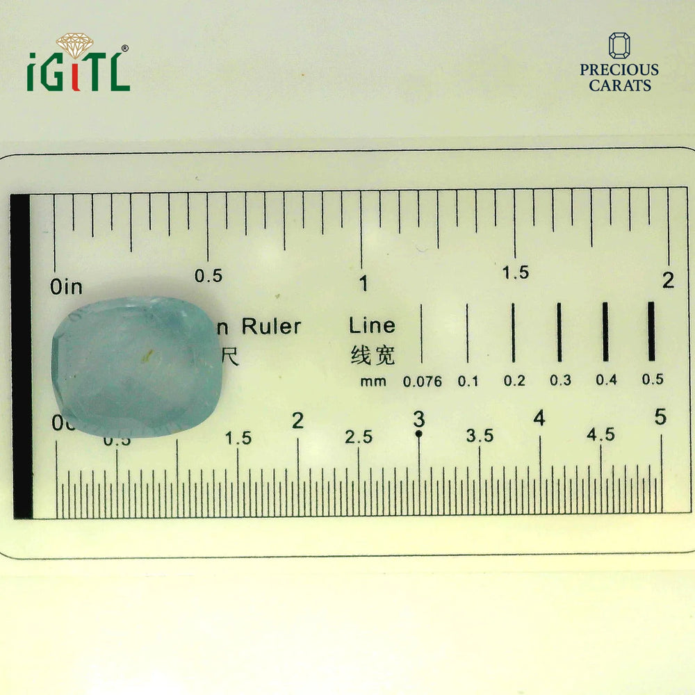 IGITL_194695_SCALE.webp