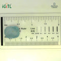 IGITL_194695_SCALE.webp
