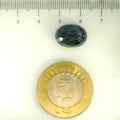 ITLGR_109297_SCALE.webp