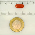 ITLGR_121354_SCALE.webp