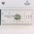 ITLGR_100495_SCALE.webp