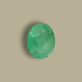 AGR_88374_TOP.webp