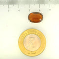 ITLGR_104422_SCALE.webp