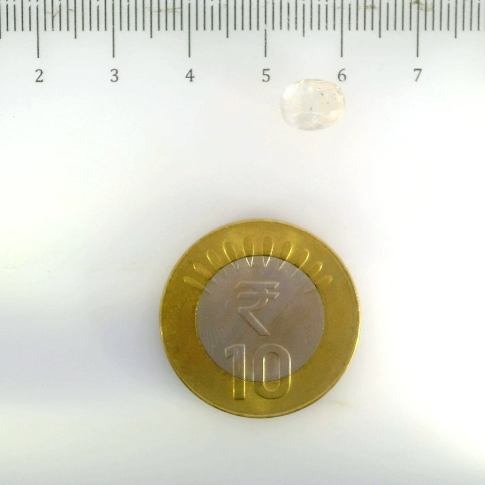 IGITL_200299_SCALE.webp