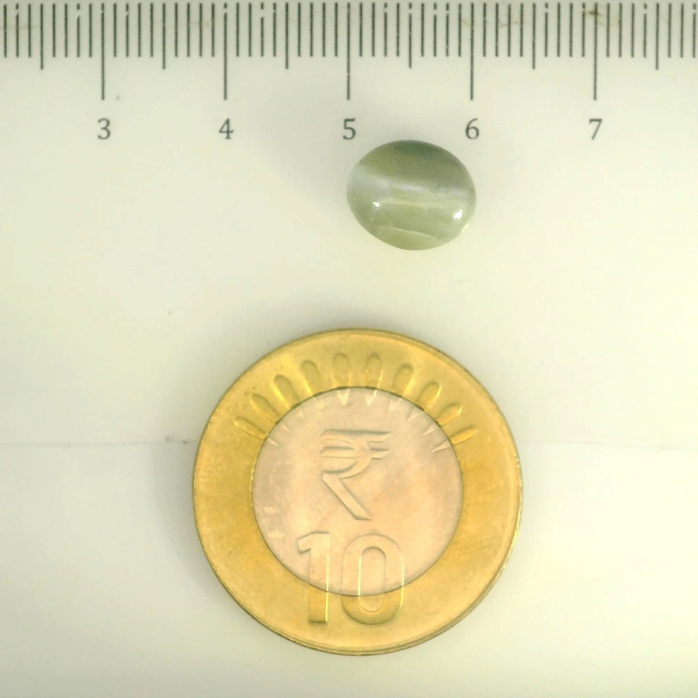 ITLGR_109807_SCALE.webp