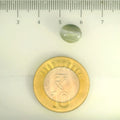 ITLGR_109807_SCALE.webp