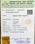 IGITL_211755_CERTIFICATE.webp