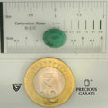 ITLGR_105060_SCALE.webp