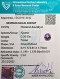 ITLGR_113102_CERTIFICATE.webp