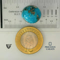 ITLGR_100872_SCALE.webp