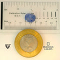 ITLGR_101063_SCALE.webp