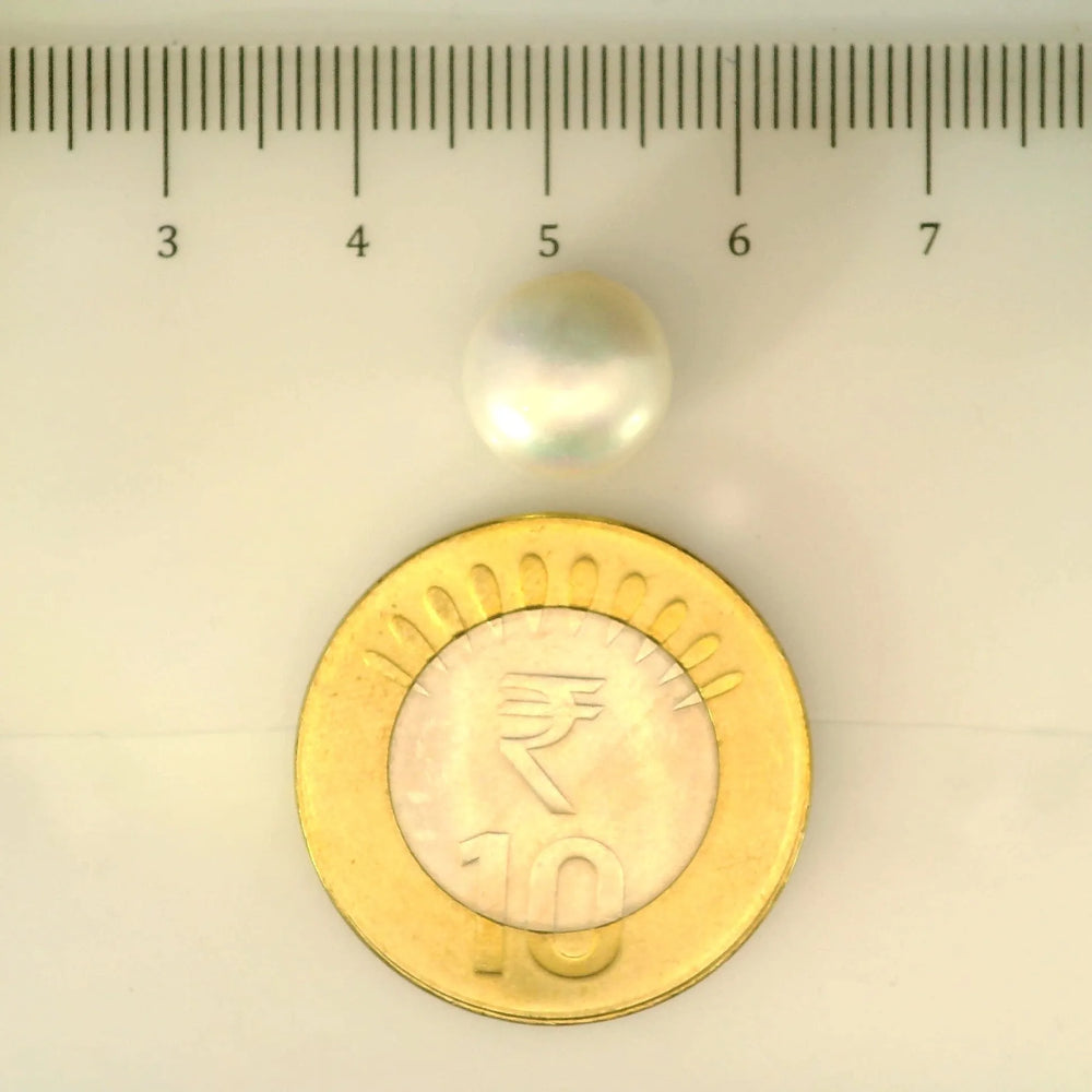 ITLGR_106984_SCALE.webp