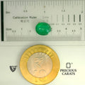 ITLGR_105256_SCALE.webp