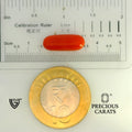 ITLGR_104524_SCALE.webp