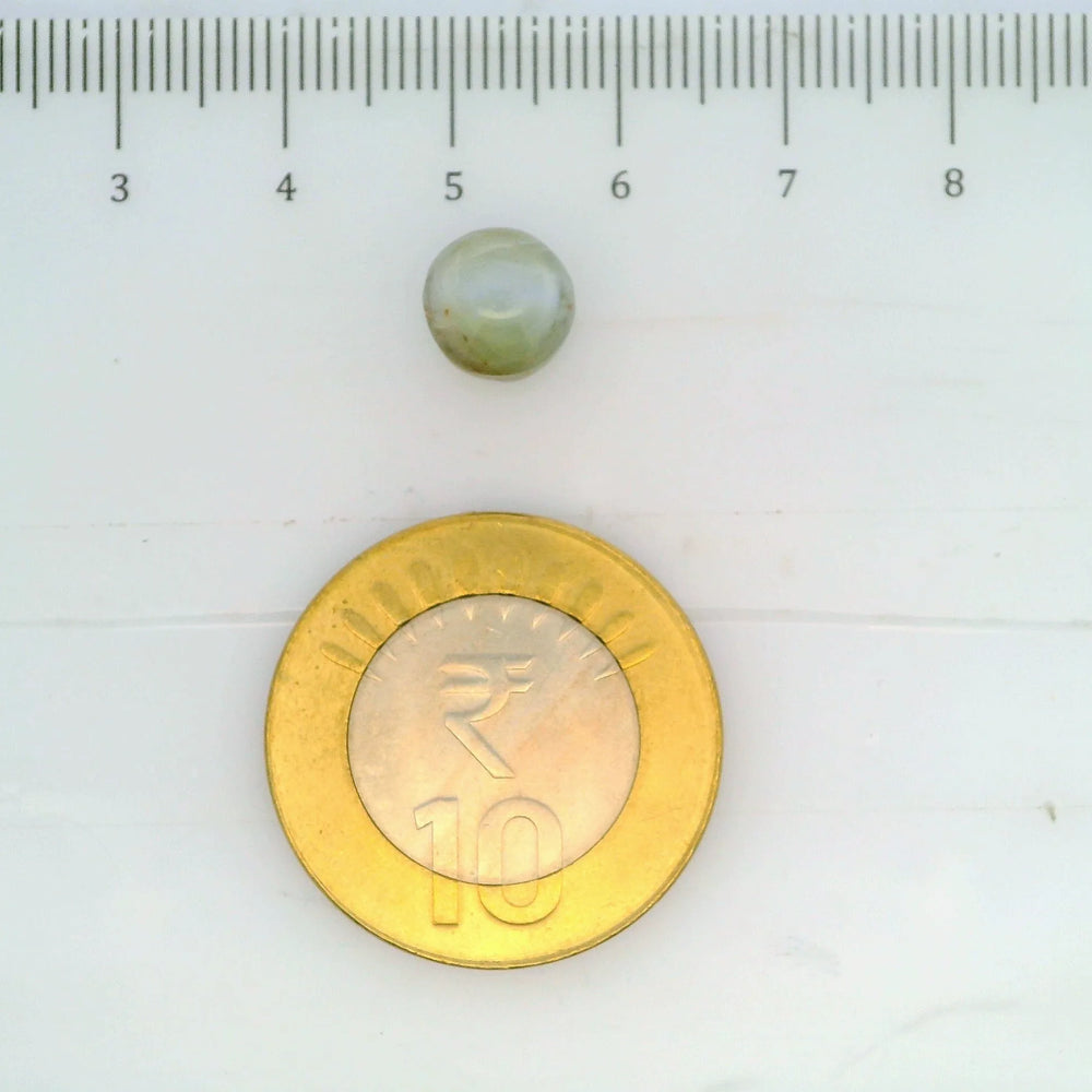 ITLGR_109816_SCALE.webp