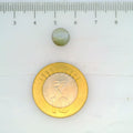 ITLGR_109816_SCALE.webp