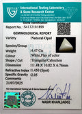 ITLGR_101899_CERTIFICATE.webp