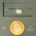 ITLGR_102042_SCALE.webp