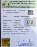 IGITL_212004_CERTIFICATE.webp