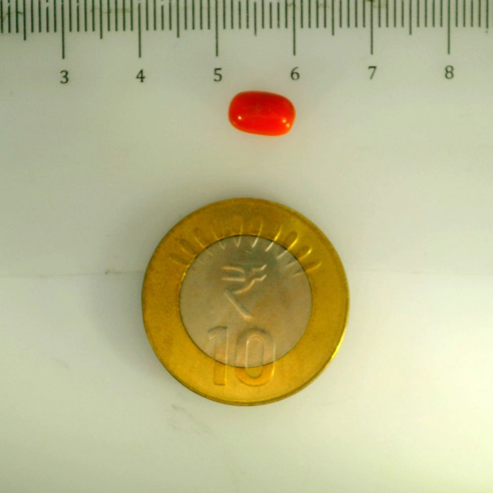 ITLGR_107154_SCALE.webp