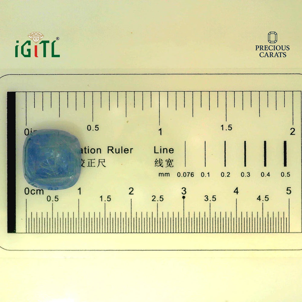 IGITL_194686_SCALE.webp