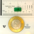 ITLGR_100252_SCALE.webp
