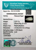 ITLGR_101896_CERTIFICATE.webp