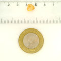 ITLGR_121757_SCALE.webp