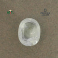 IGITL_200248_TOP.webp
