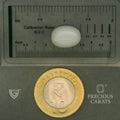ITLGR_102084_SCALE.webp